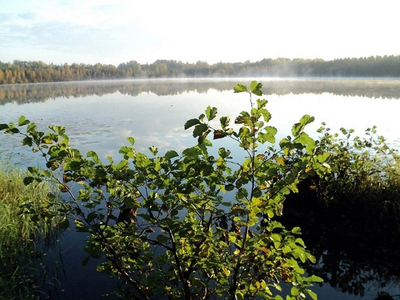Нижний Новгород, озеро Светлояр "Жемчужины Нижегородского края"