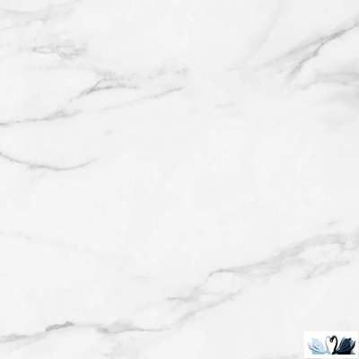 Керамогранит Prime Ceramics Callacata Silver 60x60 см белый матовый