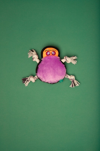 Игрушка для животных "Паук Спекмен"