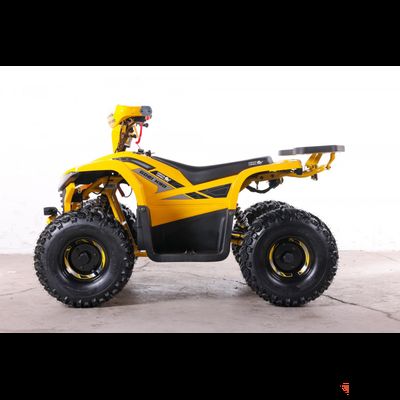 Квадроцикл GreenCamel Gobi K90 (20Ah 48V 750W R7 Дифф) LUX Bluetooth Желтый
