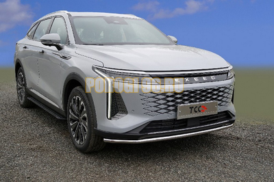 Защита передняя нижняя 42,4 мм ТСС для Exeed RX 2.0L 4WD 2023-