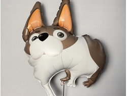 Собака ушастая бульдог