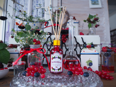 АРОМАТИЧЕСКИЙ ДИФФУЗОР ДЛЯ ДОМА "СМОРОДИНА" 50 МЛ