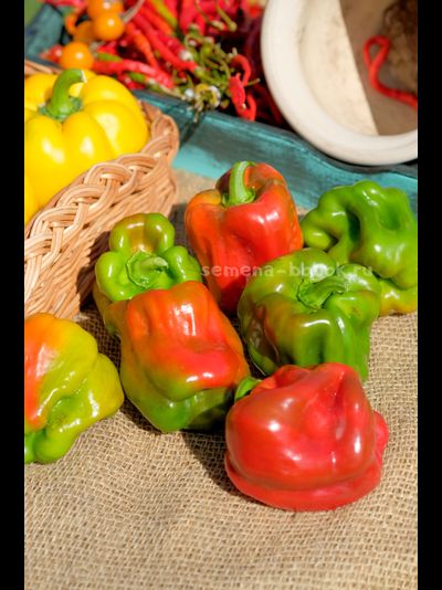 Перец сладкий Громозека БУФ, 10 шт