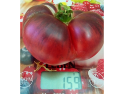 Томат Аметистовая драгоценность, (Amethyst Jewel), Канада