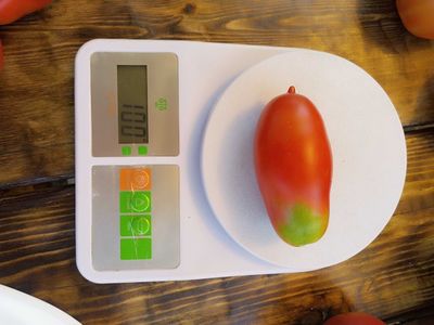 Томат Длинные из Ковеля