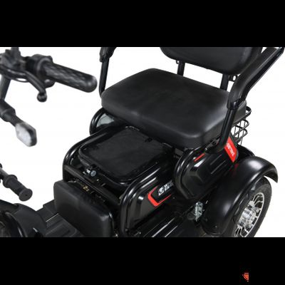 Пассажирский трицикл WHITE SIBERIA SIBTRIKE 2000W