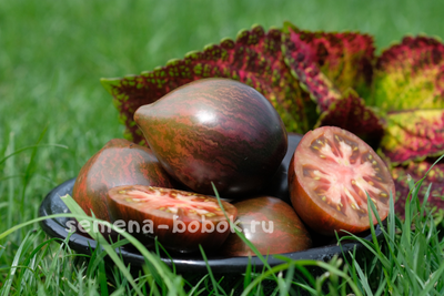 Томат Восставший Звездный Истребитель Прайм, 10 шт