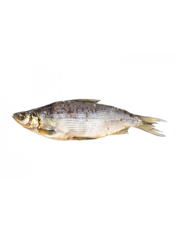 Сырок вяленый