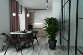 Мрия.  Кухня-гостиная