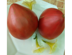 Томат Черное сердце с носиком от Борисовны (усл)