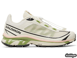 Salomon XТ-6 FT Peach Beige Мужские (40-45)