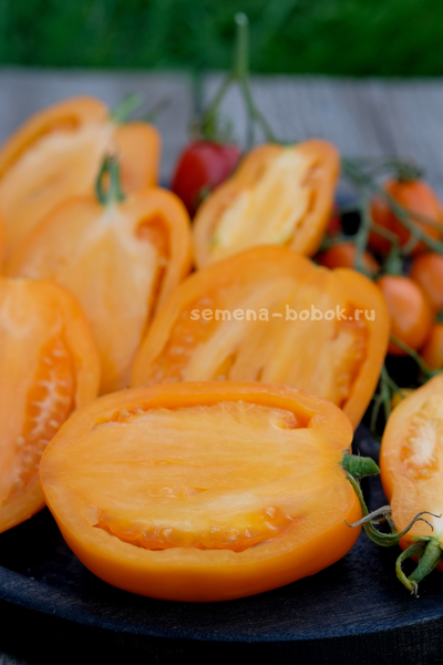 Томат Минусинские Стаканы Оранжевые, 10 шт