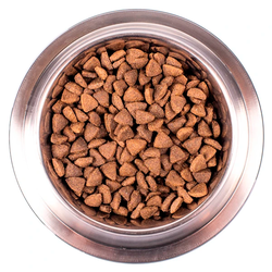 MongeDog Speciality Hypoallergenic (Монж) для собак гипоаллергенный, лосось с тунцом 2,5 кг