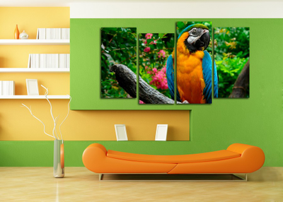 Модульная картина "Попугай"