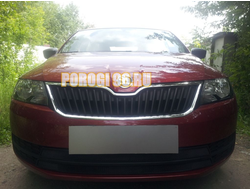 Защита радиатора Skoda Rapid 2013-2017 (2 части) black