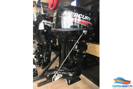  МЕРКУРИЙ 25 ВОДОМЕТ