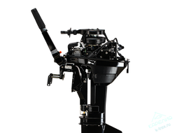 Лодочный мотор Gladiator G9.8FHS