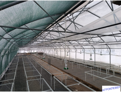 Система тумана низкого давления (480м2) 9,6 х 50м расход 5,2м3/ч (без ёмкости)