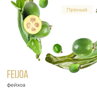 ELEMENT (ЗЕМЛЯ) 40 г. - FEIJOA (ФЕЙХОА)