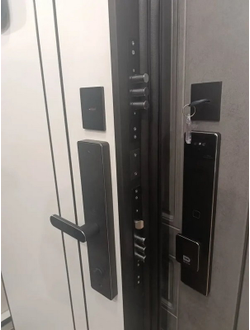 Стальная дверь   Forest (биометрический замок Smart lock R06)
