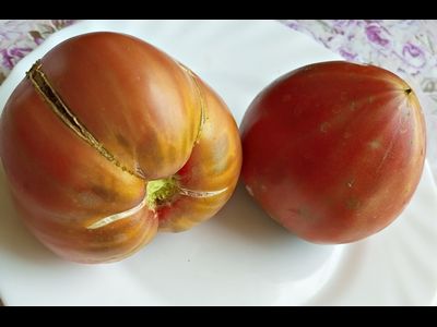 Томат Сладкое трюфельное сердце