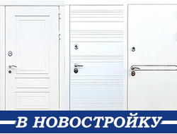 Входные белые двери