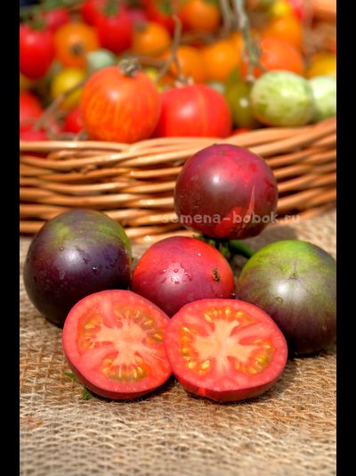 Томат Dwarf Gondwana Rose (Гном Гондвана Роза), 10 шт