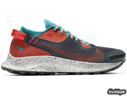 NIKE PEGASUS TRAIL 2 RUNNING GORE-TEX RED (40-45)