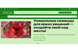 Заказать создание интернет-магазина на Nethouse под ключ