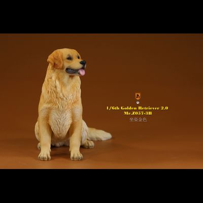 Золотистый ретривер (сидящий) - Коллекционная ФИГУРКА 1/6 scale Animal Model Golden Retriever 2.0 (MRZ057-3B) - Mr.Z