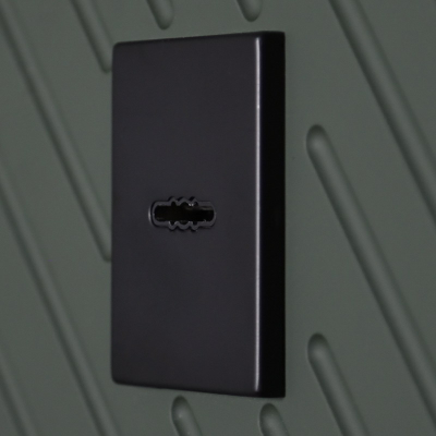 Стальная дверь   Vertu с зеркалом (биометрический замок)