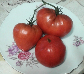 Семена томата Вишневый от Zuzy