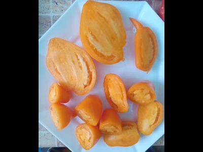 Томат Сокровище (Akmore Treasure)