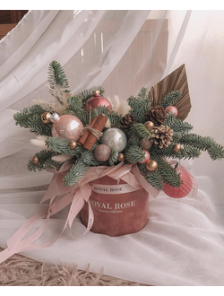 Композиция с елью в бархатной коробке