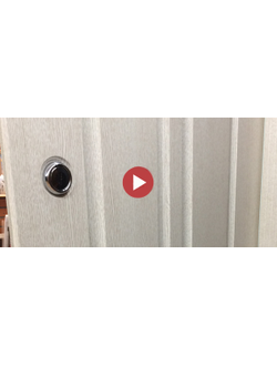 Стальная дверь   Forest (биометрический замок Smart lock R06)
