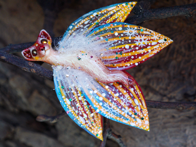 "Бабочка Вогненной Лисички", кулон из глины и шёлка