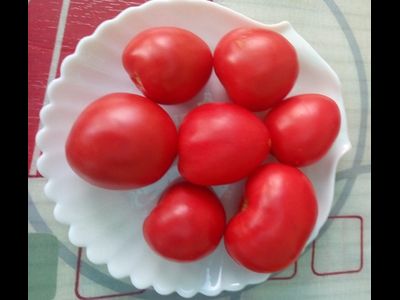 Томат Воловье сердце минусинское