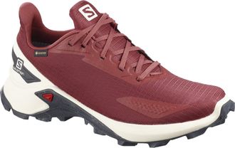 Кроссовки SALOMON ALPHACROSS BLAST GTX W Apple B  411065 (Размер: 5,5)