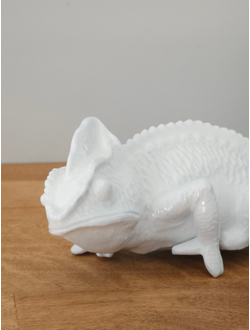 Хамелеон (интерьерный)