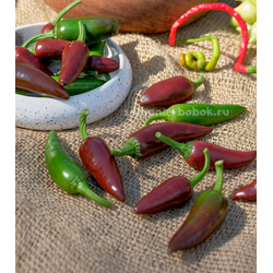 Перец острый Jalapeno Brown (Халапеньо Браун), 10 шт
