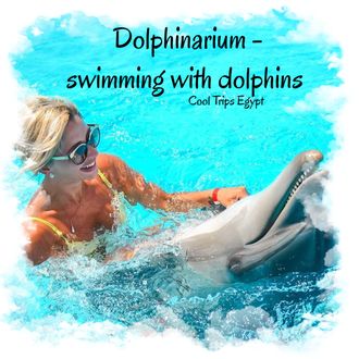 DOLPHINARIUM - SWIMMING WITH DOLPHINS