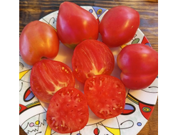 Томат Бычье сердце Ким времен гражданской войны, Kim’s Civil War Oxheart (США)