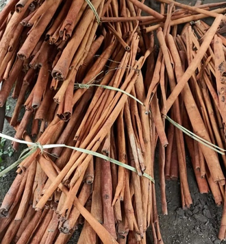 Коричник китайский, Кассия (Cinnamomum cassia) 5 мл - 100% натуральное эфирное масло