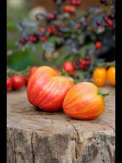 Томат VT-16 Желтый, 10 шт