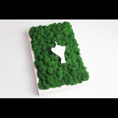 ЖИВАЯ ЭКО-КАРТИНА 1029