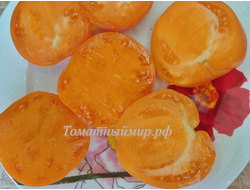 Томат Регби оранжевый (Rugby orange, США)