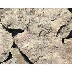 Серый Дракон песчаник