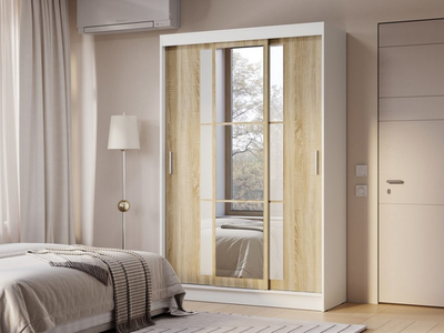 Шкаф-купе Денвер ШКК-03 (BTS)