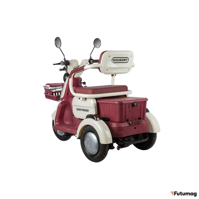 Электротрицикл Rutrike Gelbert Mercury 48V/60V 650Вт бело-красный